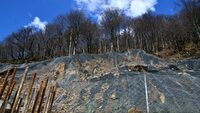 Half a billion under the rocks, or what happened to landslide fortification procurements