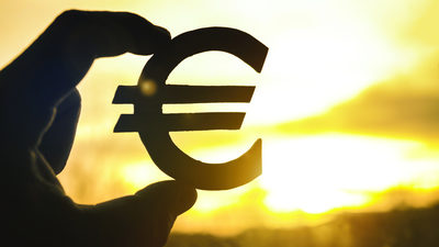 What should Bulgaria expect from the euro?