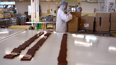 Day in 3 news: Tri-Wall Group invests 35M euro in plant near Plovdiv; Firms linked to Taki win contracts; Nestlé Bulgaria’s offers share buyback to small investors