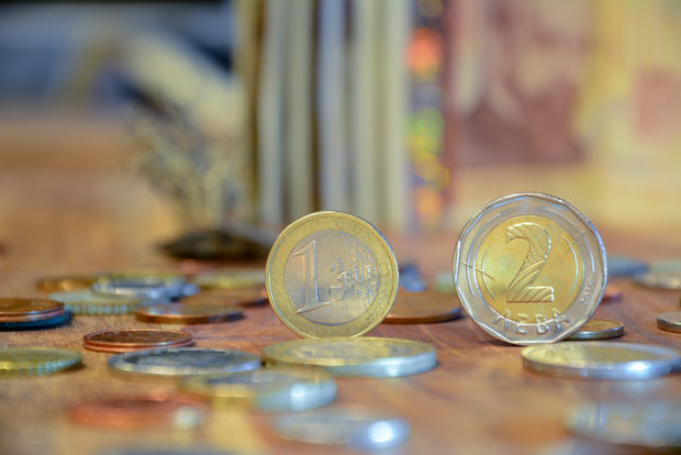 Bulgaria enters final miles of road to euro area Bulgaria enters final miles of road to euro area