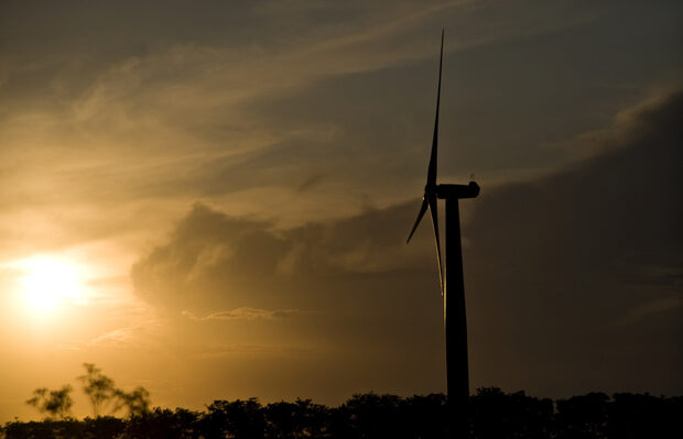 The German wpd is launching a project for a 75 MW wind farm near Balchik