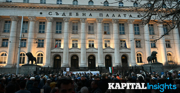 Day in 3 news: Prices of essential goods to be regulated; Day of mourning after North Macedonia tragedy; Protests against animal cruelty