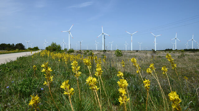 The wind farm in the municipality of Suvorovo, neighbouring the municipality of Vetrino. The park has been in operation for over a decade and is located about 10 kilometres from the "Historical Park". However, there is neither plague nor desert in Suvorovo