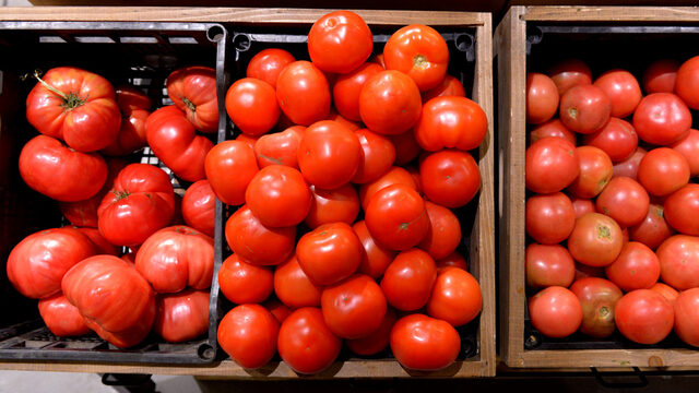 Bulgarian tomatoes have become a traditional beloved staple of local diet, but are harder and harder to find