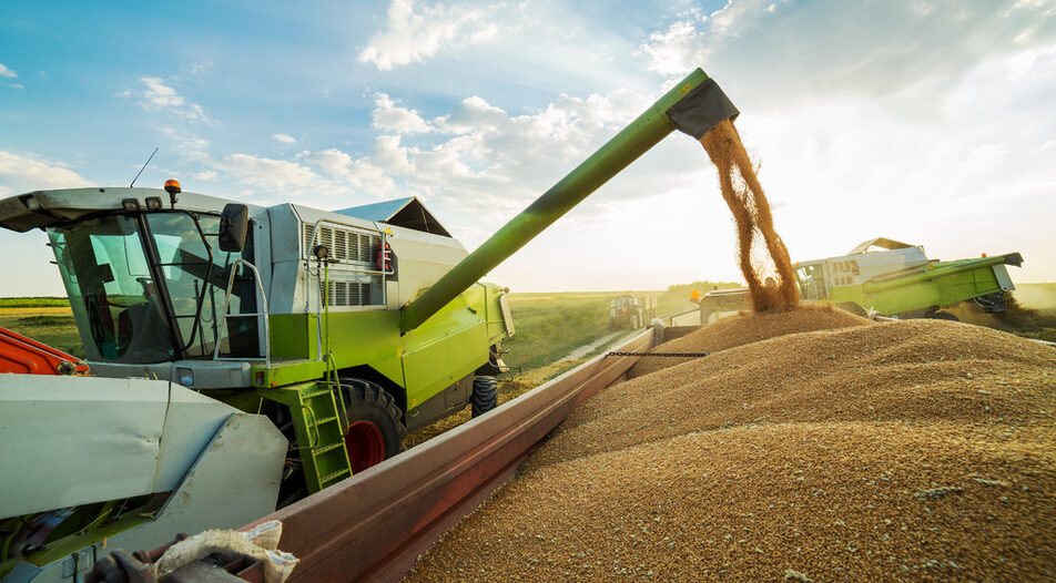 The rankings of the agribusiness giants are dominated by huge foreign and domestic traders, with a handful of large grain growers